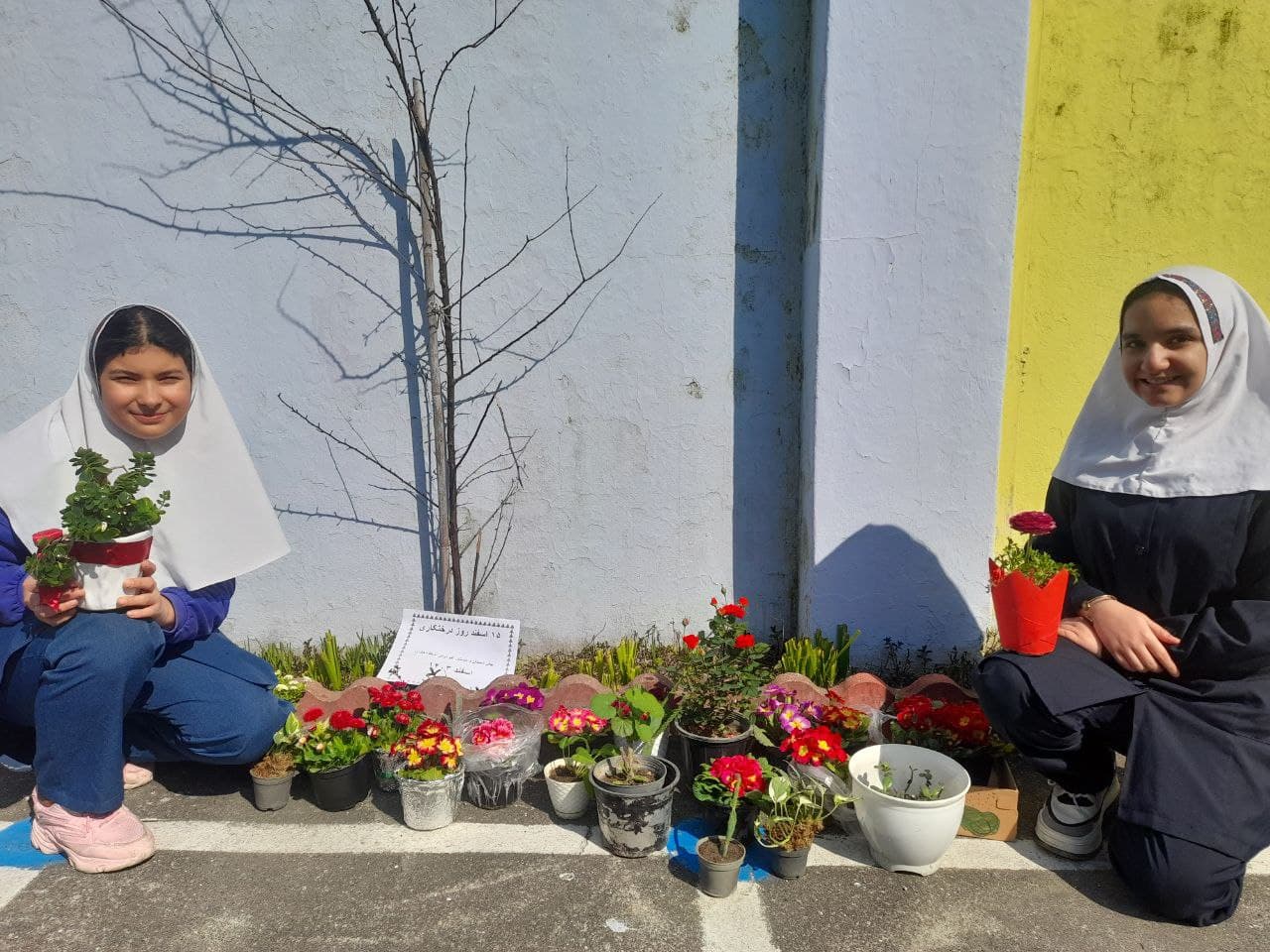 روز درختکاری